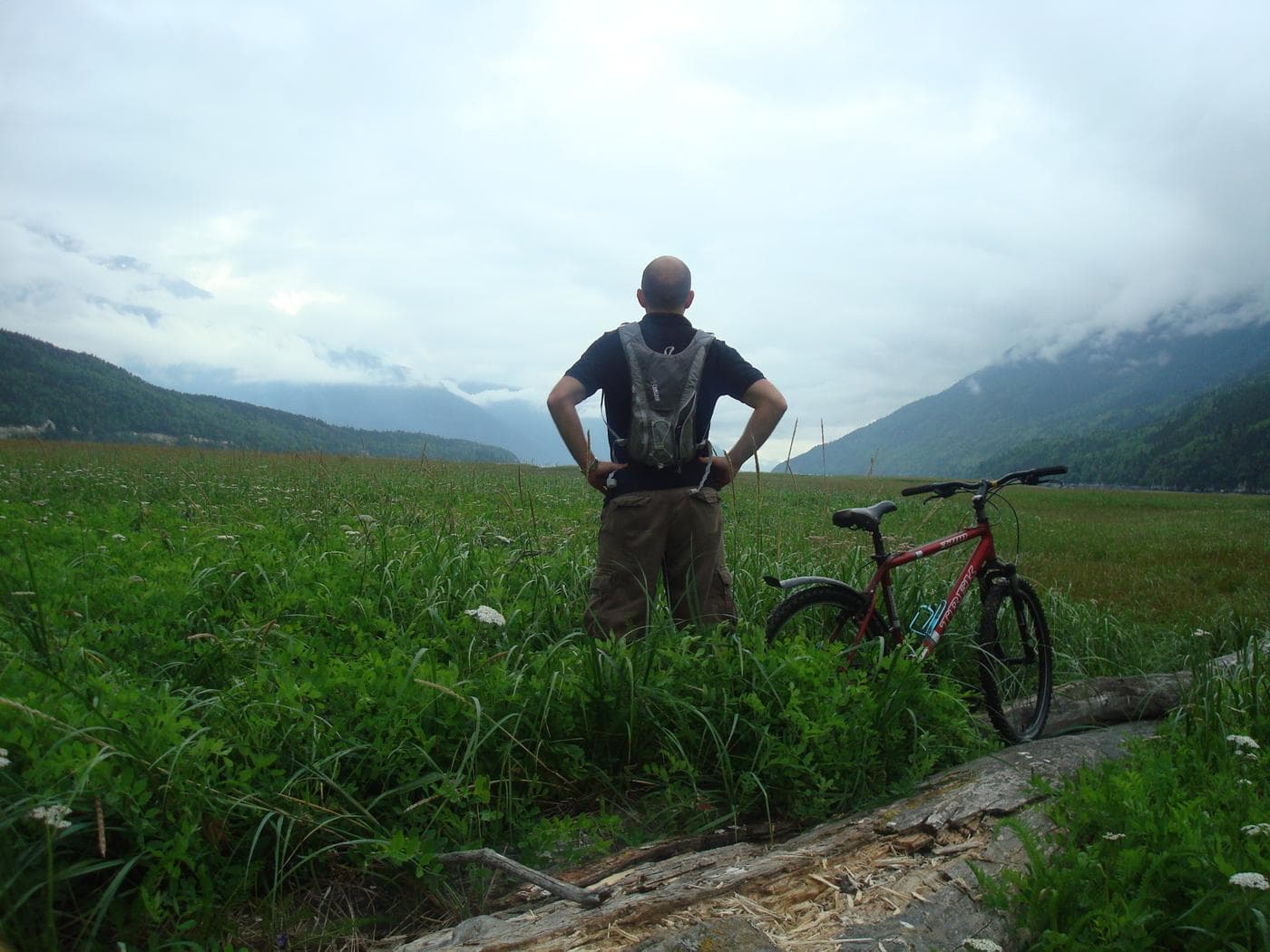 Alaska landscape